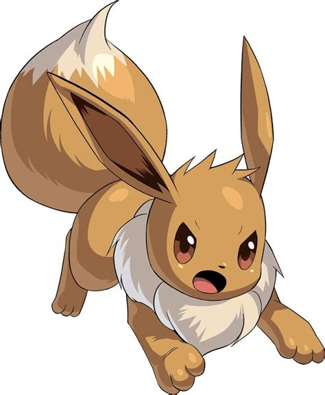 Eevee Wiki Pokémon Amino