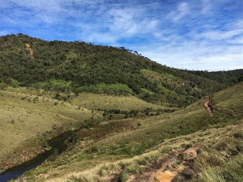 A morning hike through Horton Plains National Park | Blue Sku and Wine