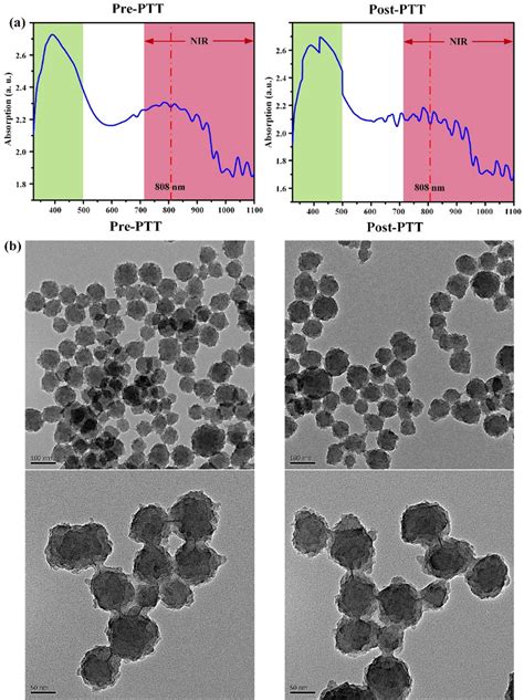 Characterization Of Ir Csppy Ncs A Uvvis Spectrum Of Ir Csppy Ncs