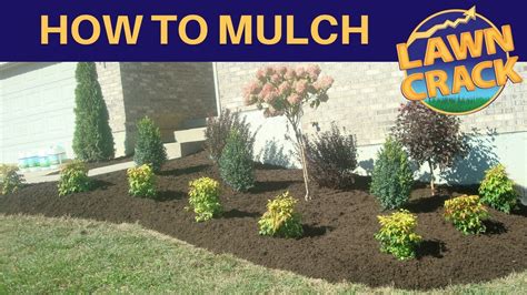 Mulch Like A Pro How To Mulch Tutorial How To Mulch And Edge