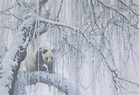 Winter Filigree Giant Panda Print Printed By Robert Mclellan Bateman