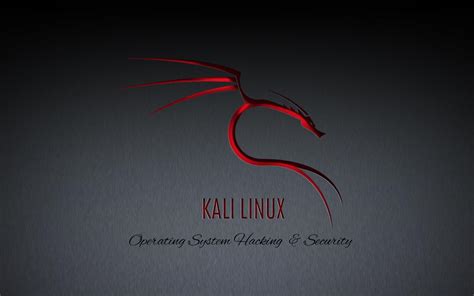 Kali Linux 4k Wallpapers - Top Free Kali Linux 4k Backgrounds ...