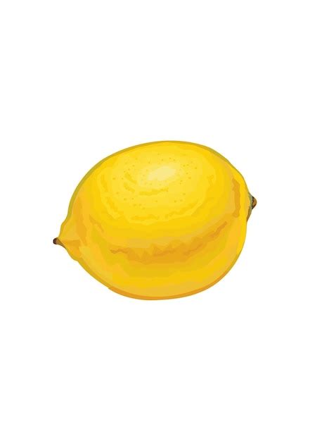 Fruit De Citron Fruits D Licieux D T Illustration Vectorielle Dans Un