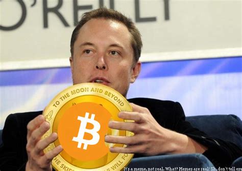 Elon Musk is a Bitcoin Hodler and a Bitcoin Maximalist