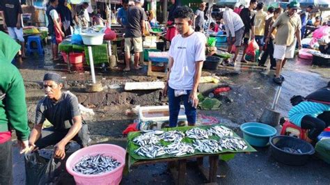 Update Harga Ikan Di Pasar Mardika Ambon Tatari Rp 10 Ribu Kawalinya