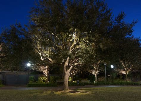 Oak Tree Lighting Archives - Moonlighting Landscape Lighting Systems