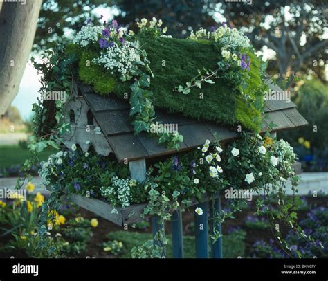 Birdhouses Colour Hi Res Stock Photography And Images Alamy