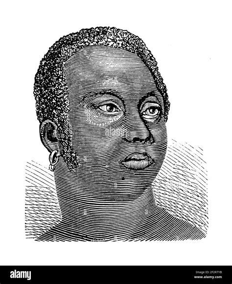 19th Century Illustration Of An African From The Gold Coast Engraving