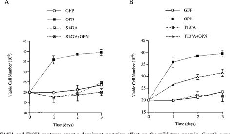 Figure 2 From The Osteopontin Cd44 Survival Signal Involves Activation