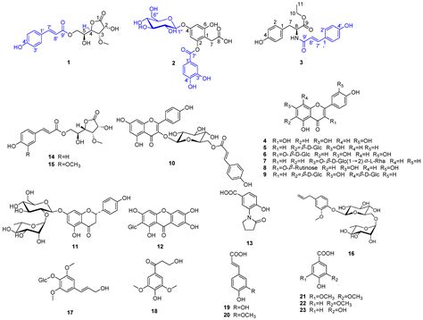 Molecules Free Full Text Phenolic Compounds From The Flowers Of