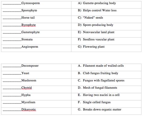 Bio Ii Exam Matching Diagram Quizlet