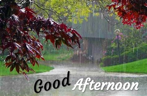 Good Afternoon Images For Whatsapp Rainy Day Images Good Morning