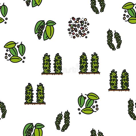 Black Pepper Aromatic Hot Spice Vector Seamless Pattern Stock Vector Illustration Of Spicy