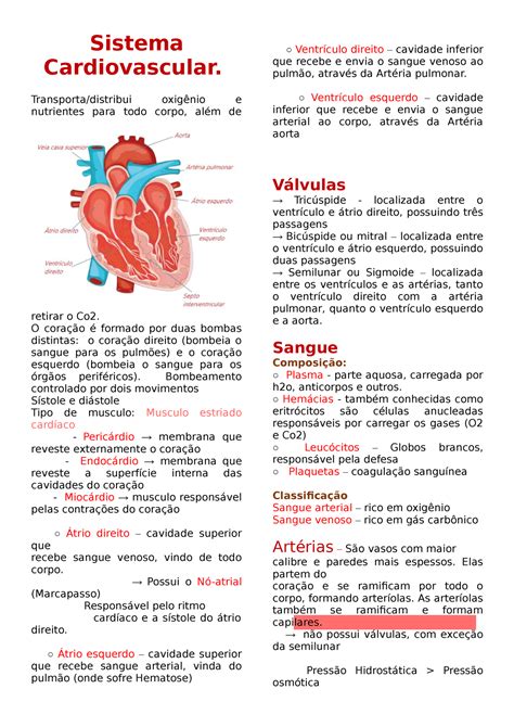 O Sistema Cardiovascular Alem De Transportar Os Nutrientes Braincp