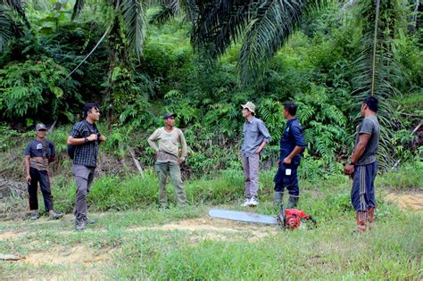 Hutan Lindung Yang Direstorasi Itu Jantungnya Aceh Tamiang Mongabay Co Id