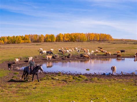 Siberian Landscape editorial image. Image of fall, green - 159976005
