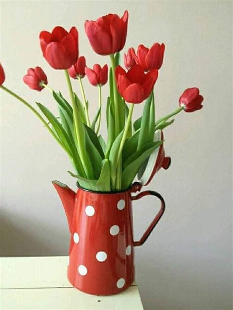 Pin on Nature & Landscapes | Flowers photography, Beautiful flowers ...