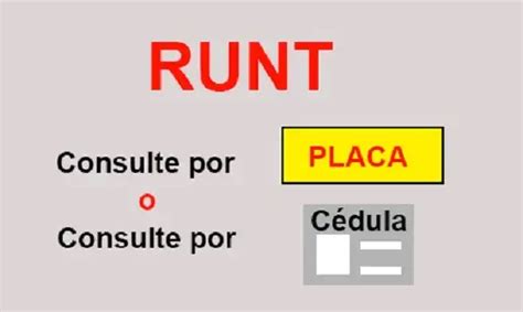 C Mo Consultar Runt Por Placa O Por C Dula Gucyi