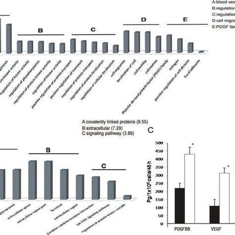 Differential Paracrine Factor Profiling Between Hesc Mscs And Bm Mscs