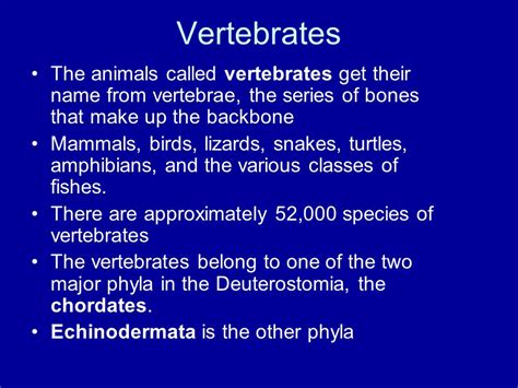 Chapter 34 Vertebrates The Animals Called Vertebrates Get Their Name