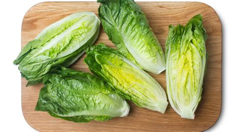 Салат романо - описание продукта, как выбирать, как готовить, читайте ...