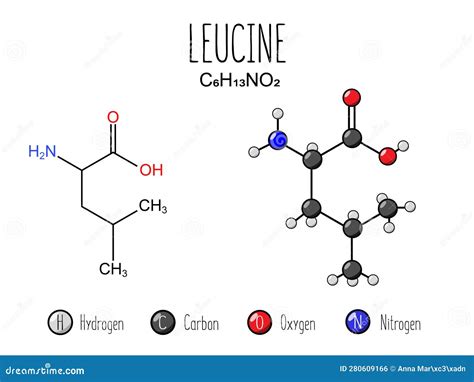 Leucine Or L Leucine Leu L Amino Acid Molecule Skeletal Formula