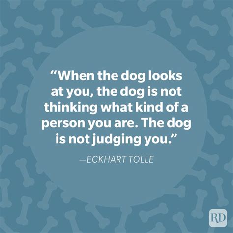 40 Dog Quotes That Celebrate Our Furry Friends