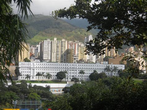 Parque Ezequiel Zamora El Calvario Venezuela Tuya