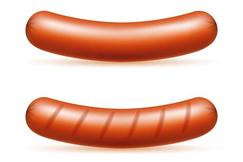 Ilustración de vector de salchicha de pan de hot dog aislado sobre