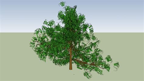 Tree 2 3d Warehouse