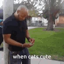 Meow Cats Cute Meow Cats Cute Cats Good Discover Share Gifs