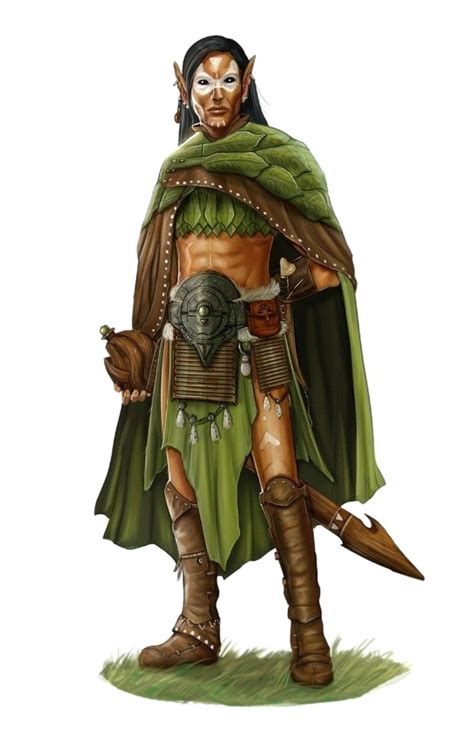 Male Wild Elf Druid Pathfinder Pfrpg Dnd Dandd 35 5th Ed D20 Fantasy