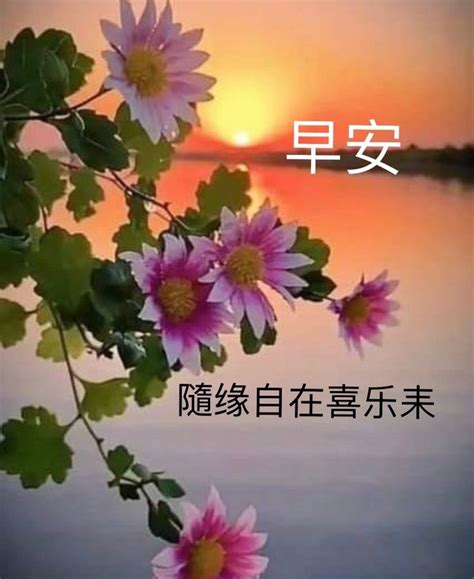 Pin By Francesca Goh On Chinese Quote In 2022 Chinese Quotes Good Morning Plants