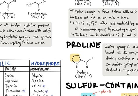 MCAT Cheat Sheet