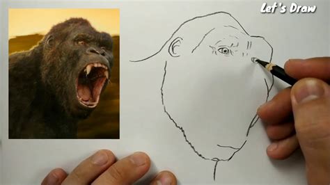 How To Draw Kong 2021