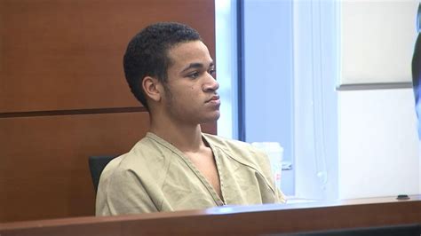 Video Parkland Shooting Suspects Brother Pleads No Contest To