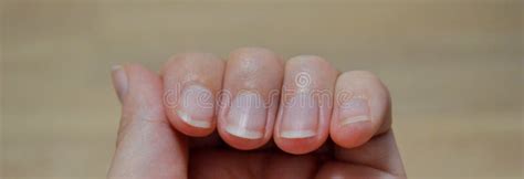 Closeup Image Of Woman Hand With Beautiful Nude Manicure Banner Stock