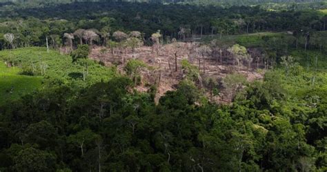 Here’s how Brazil plans to end Amazon deforestation by 2030 - National ...