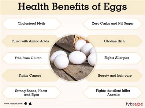 Eggs Benefits And Its Side Effects Lybrate