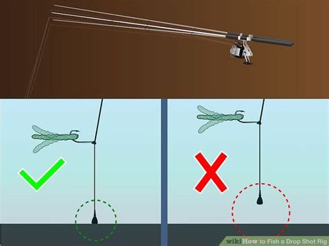 How To Fish A Drop Shot Rig Steps With Pictures Wikihow Drop