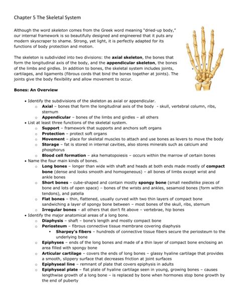 Chapter 5 The Skeletal System