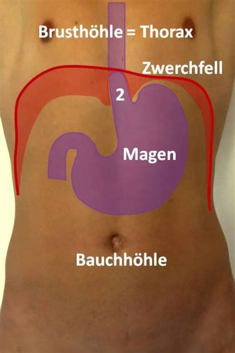 Reflux Op Und Zwerchfellbruch Op In N Rnberg Klinik Hallerwiese De