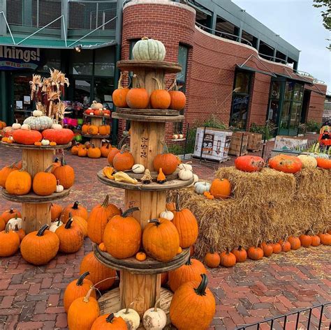 Start Thinking About How You Want To Decorate Your Jack O Lantern 10