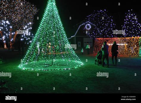 Christmas displays at Hudson Gardens, Littleton, CO Stock Photo - Alamy