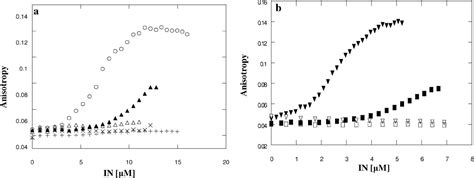 Interaction Between Hiv 1 Rev And Integrase Proteins Journal Of