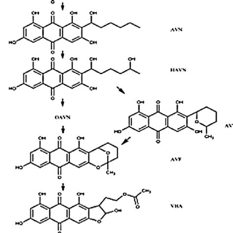 PDF Sterigmatocystin