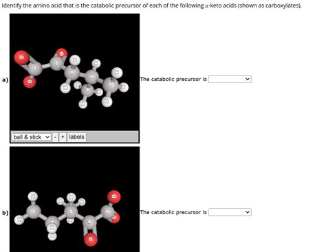 Solved Identify The Amino Acid That Is The Catabolic Chegg