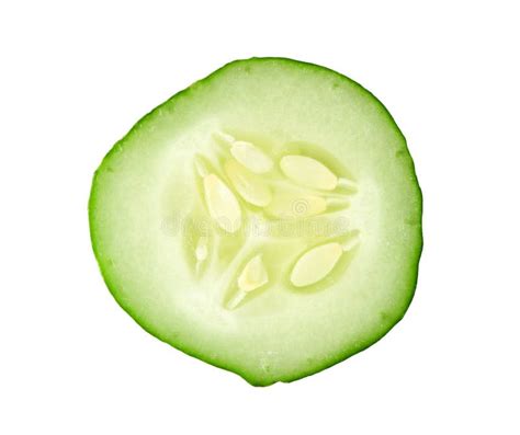 Fresh Cucumber Slice Stock Image Image Of Healthy White 24229433