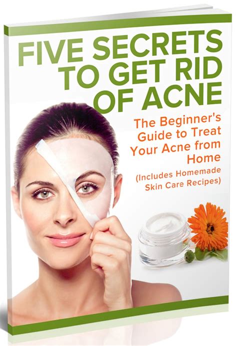 Five Secrets To Get Rid Of Acne The Beginners Guide To Treat Your Acne From Home