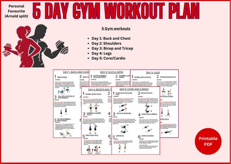 5 Day Gym Plan for Building Muscle, Includes a Weekly Gym Split Full ...